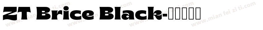ZT Brice Black字体转换